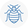 Bed Bug Extermination In West Ham
