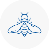 Bee Nest Removal West Ham
