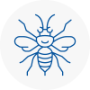 West Ham Hornet Nest Removals