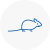 Mice Exterminators In West Ham