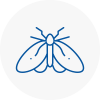 Moth Control Specialists In West Ham
