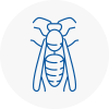 West Ham Wasp Nest Removal